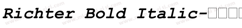 Richter Bold Italic字体转换